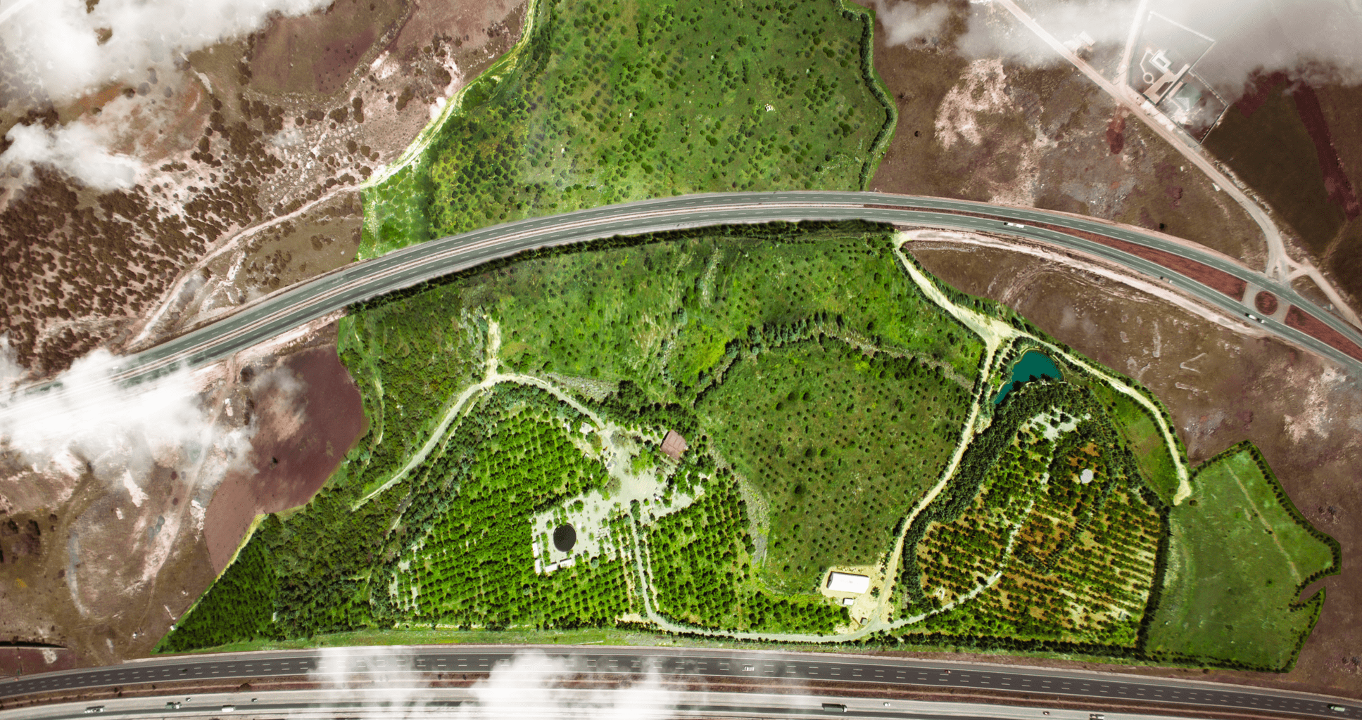 Yeşil Kurtuluş Ormanı